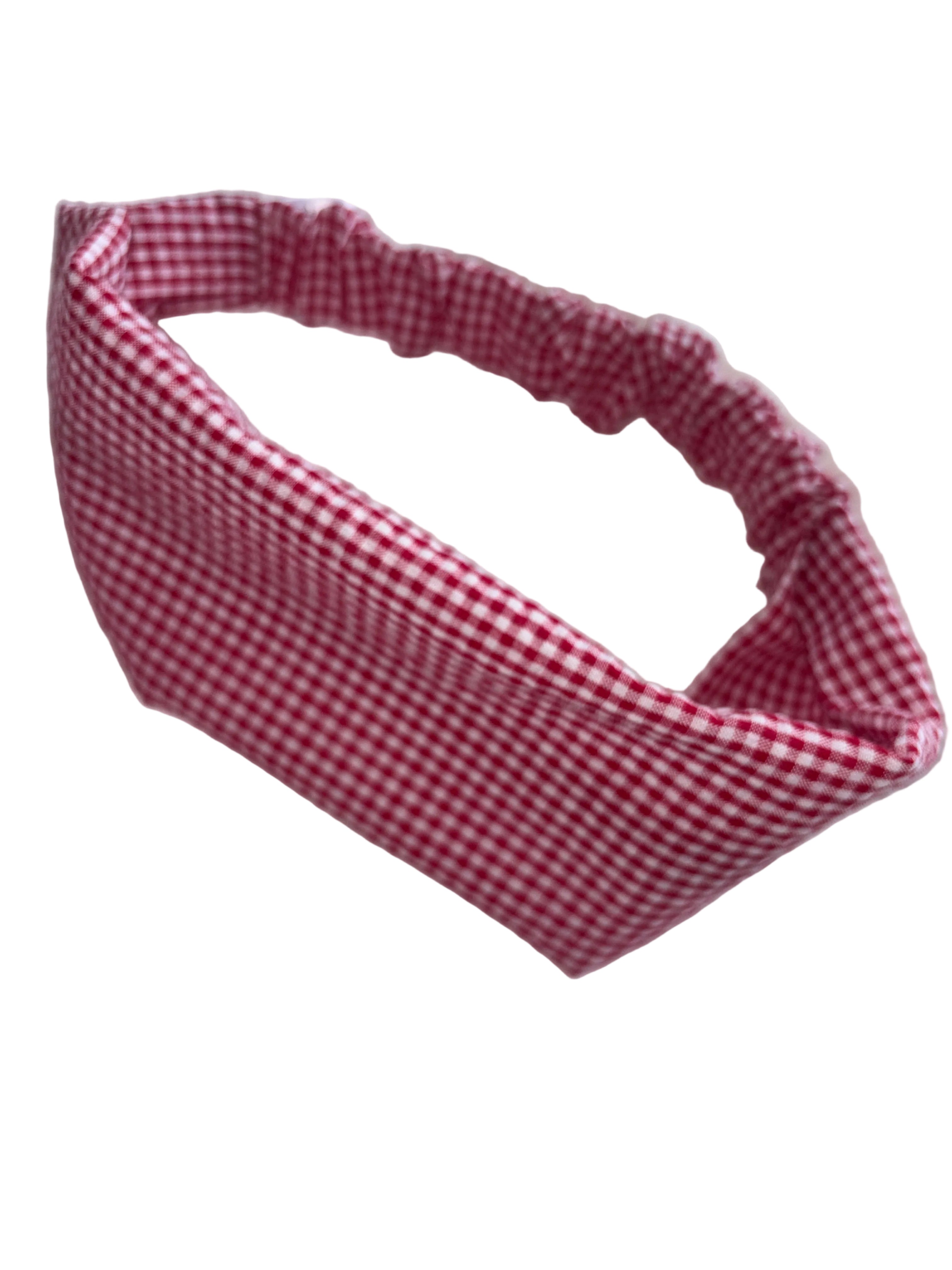 LE BANDEAU GENÈSE